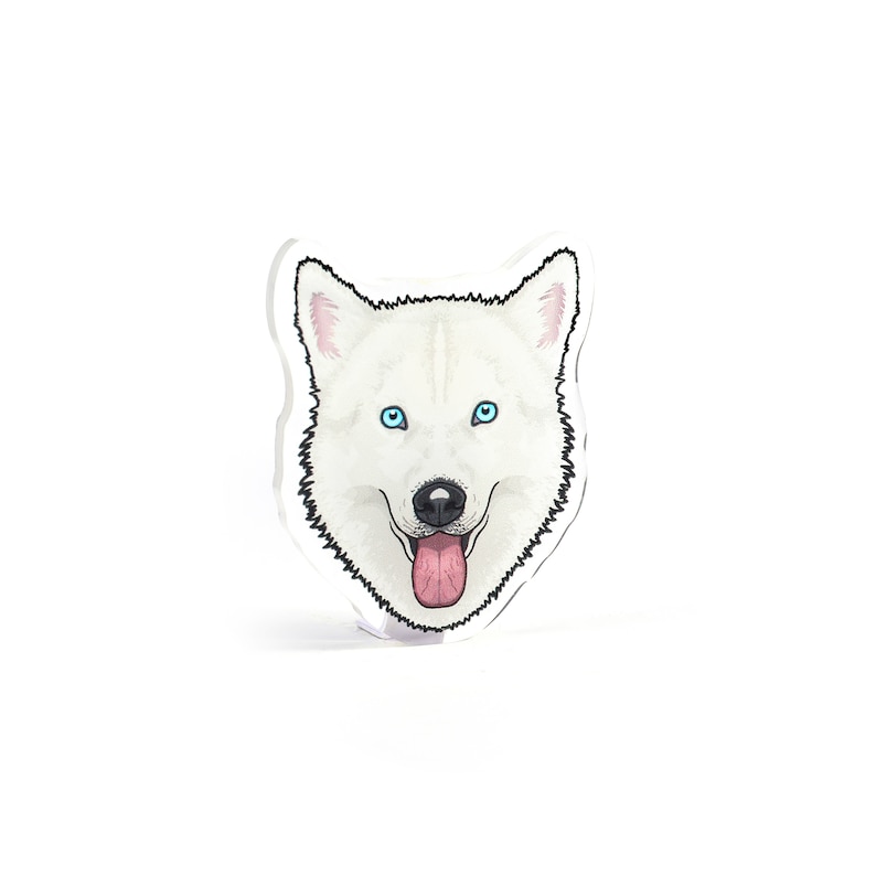 May include: A white husky dog with blue eyes and a pink tongue sticking out. The dog is looking directly at the camera with a happy expression.