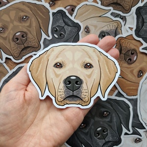 Labrador stickers golden black brown white cream dog decal GOLDEN / CREAM