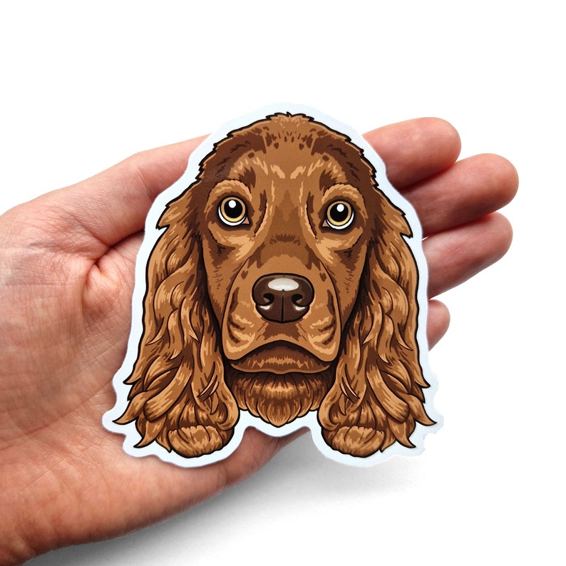 Puede incluir: Un primer plano de un perro Cocker Spaniel marr&oacute;n y blanco con pelo largo y fluido. El perro tiene una expresi&oacute;n dulce en su rostro y est&aacute; mirando directamente a la c&aacute;mara.