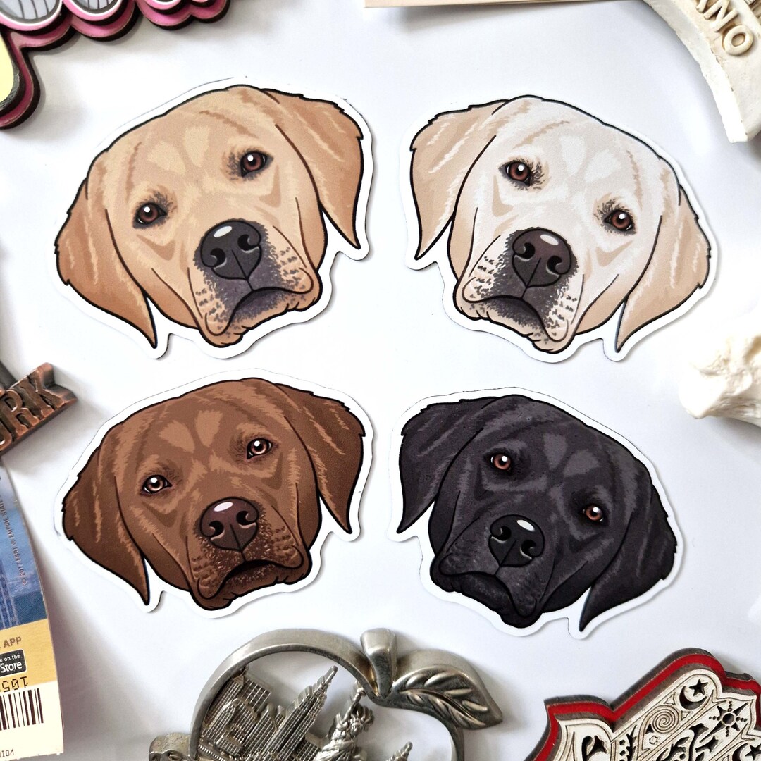 Labrador Magnets Golden Chocolate Brown Black White Lab Retriever - Etsy