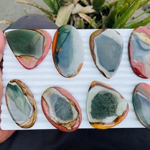 May include: Eight polished gemstones in various shapes and colors, including green, gray, red, and brown, are displayed on a white tray. The gemstones have unique patterns and textures, showcasing natural variations. The tray is held by a person.
