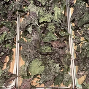 Freeze-Dried Homegrown Organic Perilla Leaves | Shiso Herb | All-Natural Seasoning & Tea
