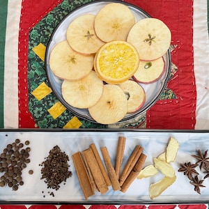 Fall Mulling Spices Kit for Apple Cider and Wine with Freeze-Dried Apple, Orange and Ginger