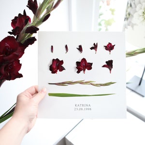 Personalised August Birth Flower Print | Gladiolus Botanical Print | August Birth Flower Print | Birth Flower Artwork