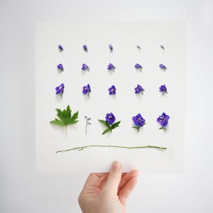 Personalised July Birth Flower Print | Delphinium Botanical Print | July Birth Flower Print | Birth Flower Artwork