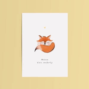Kaart geboorte vos | Wenskaart felicitatie: 'Welkom klein wondertje' | Ansichtkaart A6 baby geboren | Handgetekende illustratie