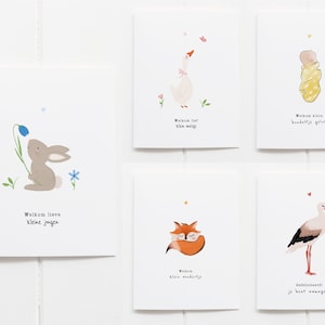 Ensemble de cartes de vœux comprenant 5 cartes postales et enveloppes | Cartes de naissance dessinées à la main et illustrées