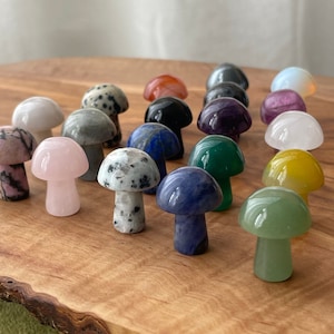 Mini Crystal Mushroom – 20 Unique Gemstone Varieties | Perfect for Decor, Meditation & Crafts | Healing Crystals | Natural Mushroom Figurine