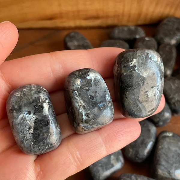 Larvikite Tumbled Stone (~0.75-2") - Choose How Many Pieces - Black Labradorite Tumbles - Polished Flashy Larvikite - Grounding Stones