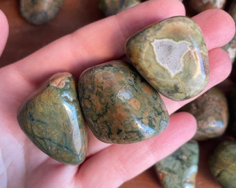 Piedras caídas de riolita - Jaspe de selva tropical de primera calidad - Elija cuántas piezas - Riolita pulida - Cristal de jaspe de selva tropical caído