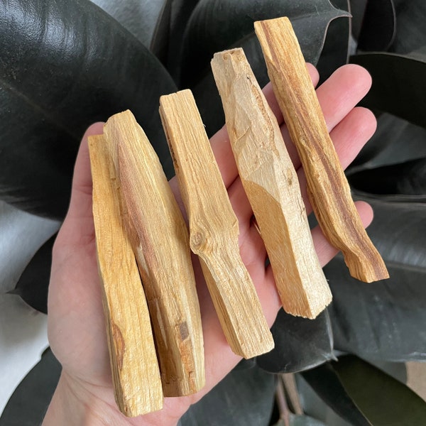 Palo Santo Sticks - Choose How Many - Premium Quality Smudge Sticks - Palo Santo Wood for Cleansing - Bulk Palo Santo - Holy Wood Incense