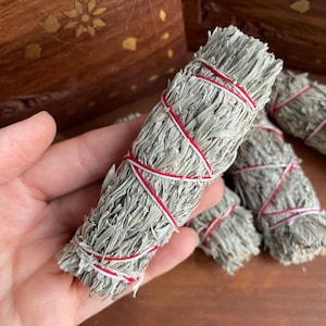 Organic Shasta Sage Smudge Stick -  Authentic Mount Shasta Wild Sage for Cleansing Rituals - Dried Sage Bundle - Blue Sage Stick - Sage Wand