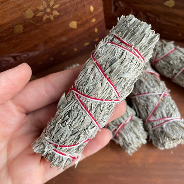 Organic Shasta Sage Smudge Stick -  Authentic Mount Shasta Wild Sage for Cleansing Rituals - Dried Sage Bundle - Blue Sage Stick - Sage Wand