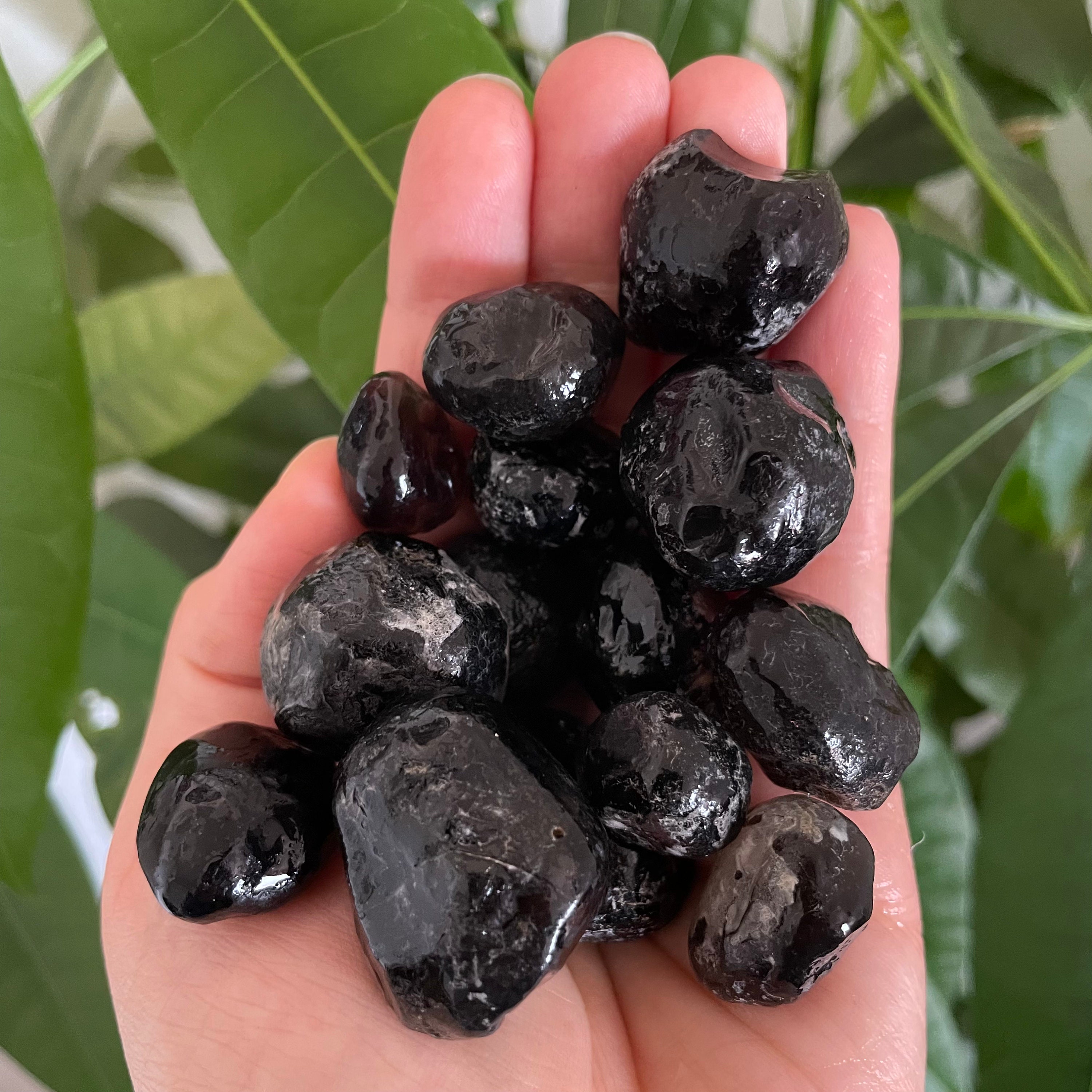 Authentic Apache Tears Crystals - Premium Obsidianite Pebbles From ...