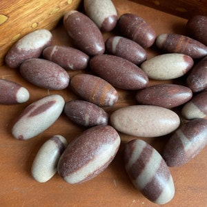 Shiva Lingam Stone - Choose How Many - 1 inch (+/- 0.75-1.25&quot;) - Sacred Stones from India - Polished Shiva Lingam Egg - Tumbled Shiva Lingam