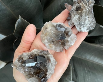 May include: Three smoky quartz crystal clusters, each with a unique shape and formation. The crystals are a mix of clear and dark smoky quartz, with some showing a hint of iridescence.