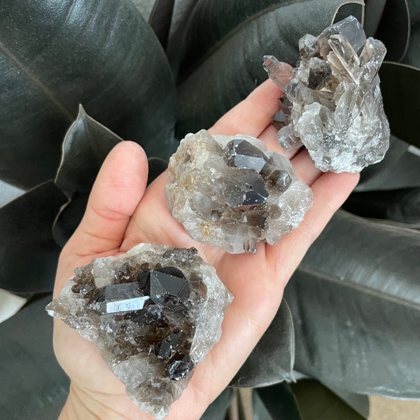 Smoky Quartz Cluster - 1.5-3.5" - Choose Your Size - A Grade Smoky Quartz Crystal Clusters - Grounding Protection Stone - Smoky Quartz Geode