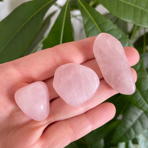 Tumbled Rose Quartz Crystals - Natural Healing Stones from Brazil - Various Sizes Available - Rose Quartz Tumbled - Heart Chakra Stone