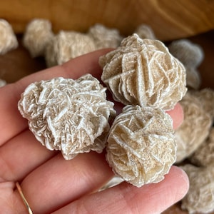 Desert Rose Stone (~0.5-1") - Natural Desert Rose Selenite Buds - A Grade Premium Quality Selenite Gypsum Crystals - Root Chakra - Love Gems