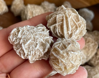 May include: A collection of white desert rose crystals, also known as selenite rose, with a rosette shape and a rough, textured surface.