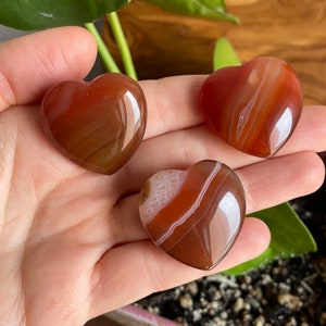 May include: Three heart-shaped carnelian stones with brown and orange banding. The stones are polished and have a glossy finish.