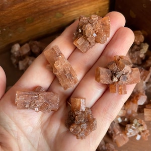 May include: A collection of five brown selenite crystals, each with a unique shape and formation. The crystals are arranged on a hand, showcasing their delicate and intricate details.