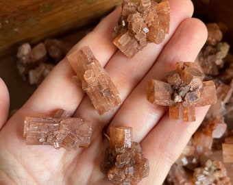 May include: A collection of five brown selenite crystals, each with a unique shape and formation. The crystals are arranged on a hand, showcasing their delicate and intricate details.