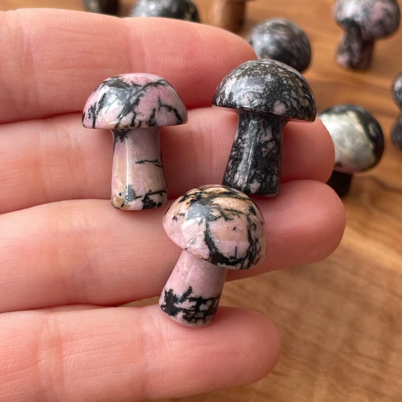 Rhodonite Mini Mushroom – Healing Crystal Carving for Meditation, Reiki ...