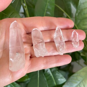 Lemurian Quartz Point for Meditation and Reiki"