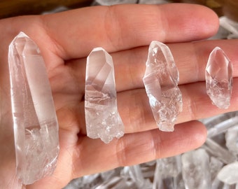 ペレズドリームレムリアン　シトリン　スモーキー　モリオン　スターブラリー ペレの夢のレムリアンシトリン、カスタムスタンド付き、290g、希少品