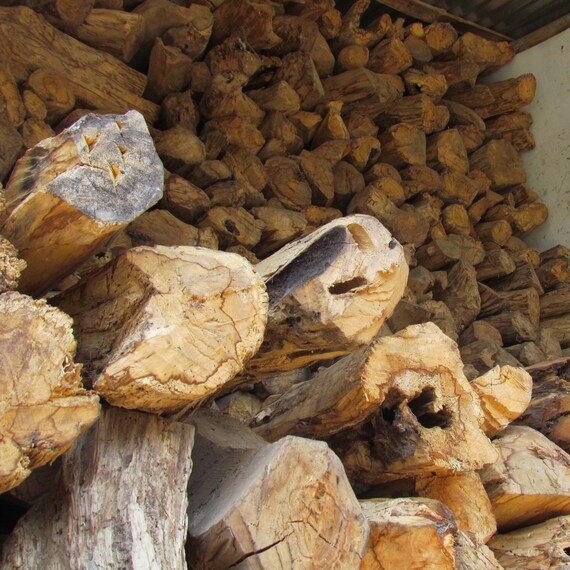 Palo Santo Holz 1kg - Authentisches Räucherwerk Aus Ecuador