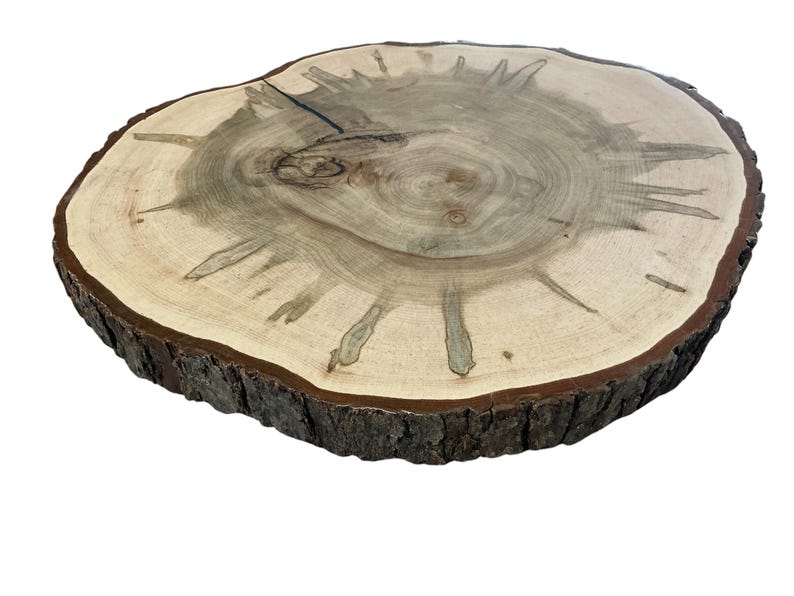 Ambrosia Maple Tree Slice, Rustic Wood Slab Centerpiece, Woodland Decor ...
