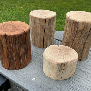 Op de afbeelding: Vier cilindervormige houten blokken van verschillende hoogtes en bruintinten. Elk blok heeft een plat, cirkelvormig bovenoppervlak met natuurlijke houtnerven en radiale scheuren, en verticale baststructuren langs de zijkanten van de stukken.