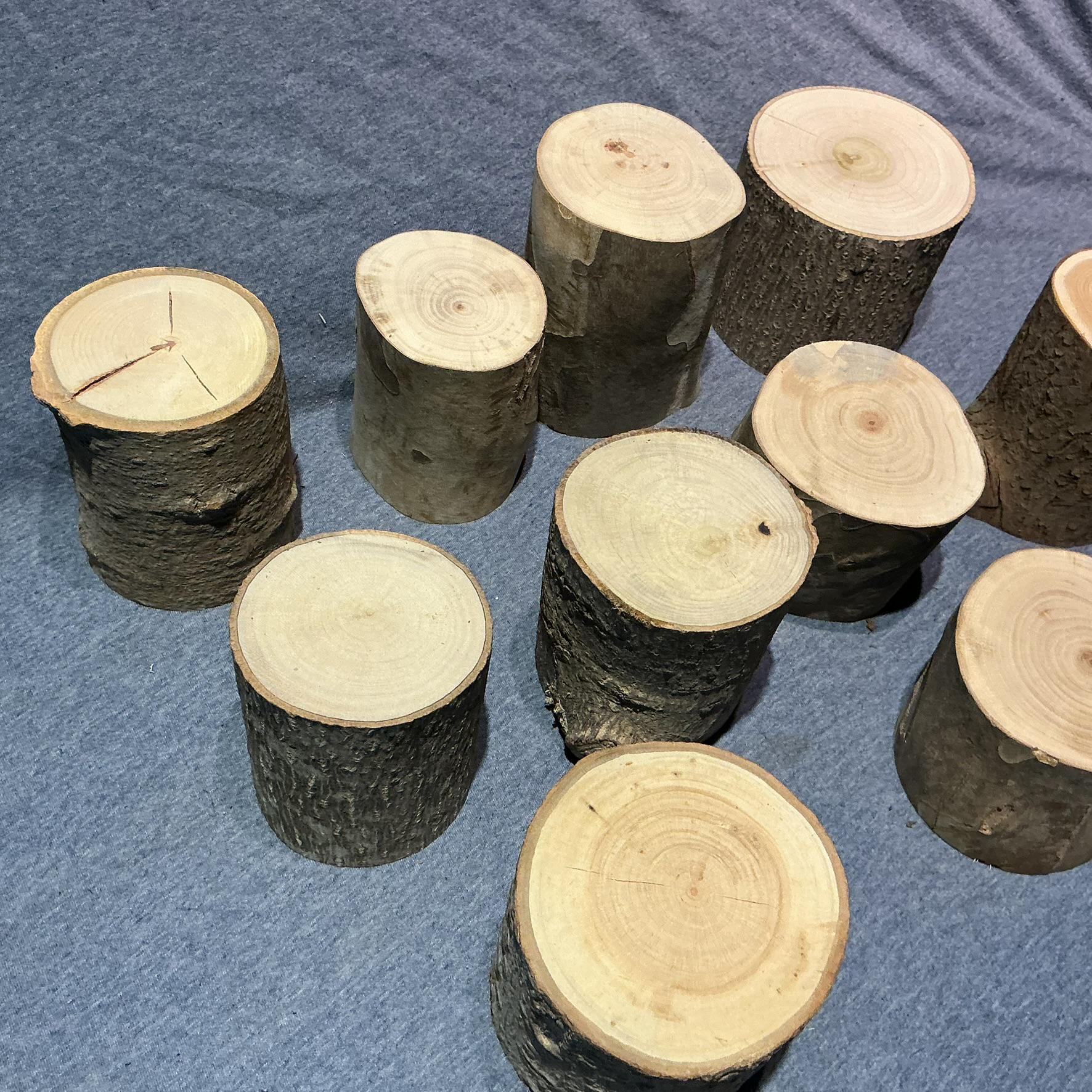 10 Natural Wood Log Sections, Rustic Display Risers, 3