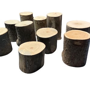 10 secciones de troncos de madera natural, soportes rústicos para exhibición, de 3" a 4" de diámetro, discos de álamo sin acabado.