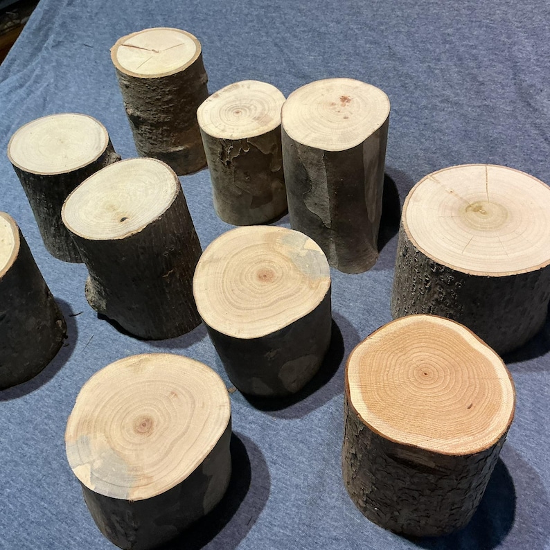 10 Natural Wood Log Sections, Rustic Display Risers, 3