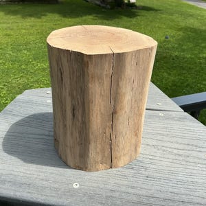 Peut inclure: Une pièce cylindrique de bois naturel brun clair avec une surface supérieure plate montrant des cernes de croissance visibles et une fissure verticale le long de l'extérieur sans écorce, présentant un grain brut, texturé et organique.