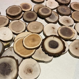 May include: A collection of various-sized, natural wood slices with visible growth rings and bark edges. The wood tones range from light beige to dark brown, creating a rustic and organic aesthetic. Ideal for crafts and home decor.