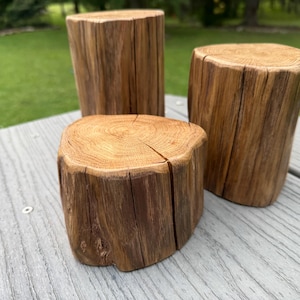 Set of 3 rustic oak log sections, 4" table display stands