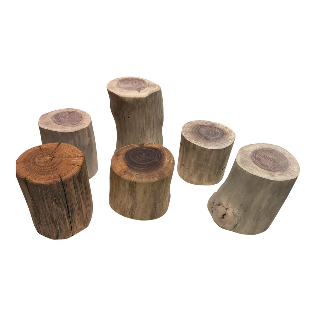 4 Black Walnut Log Stump Risers, 4