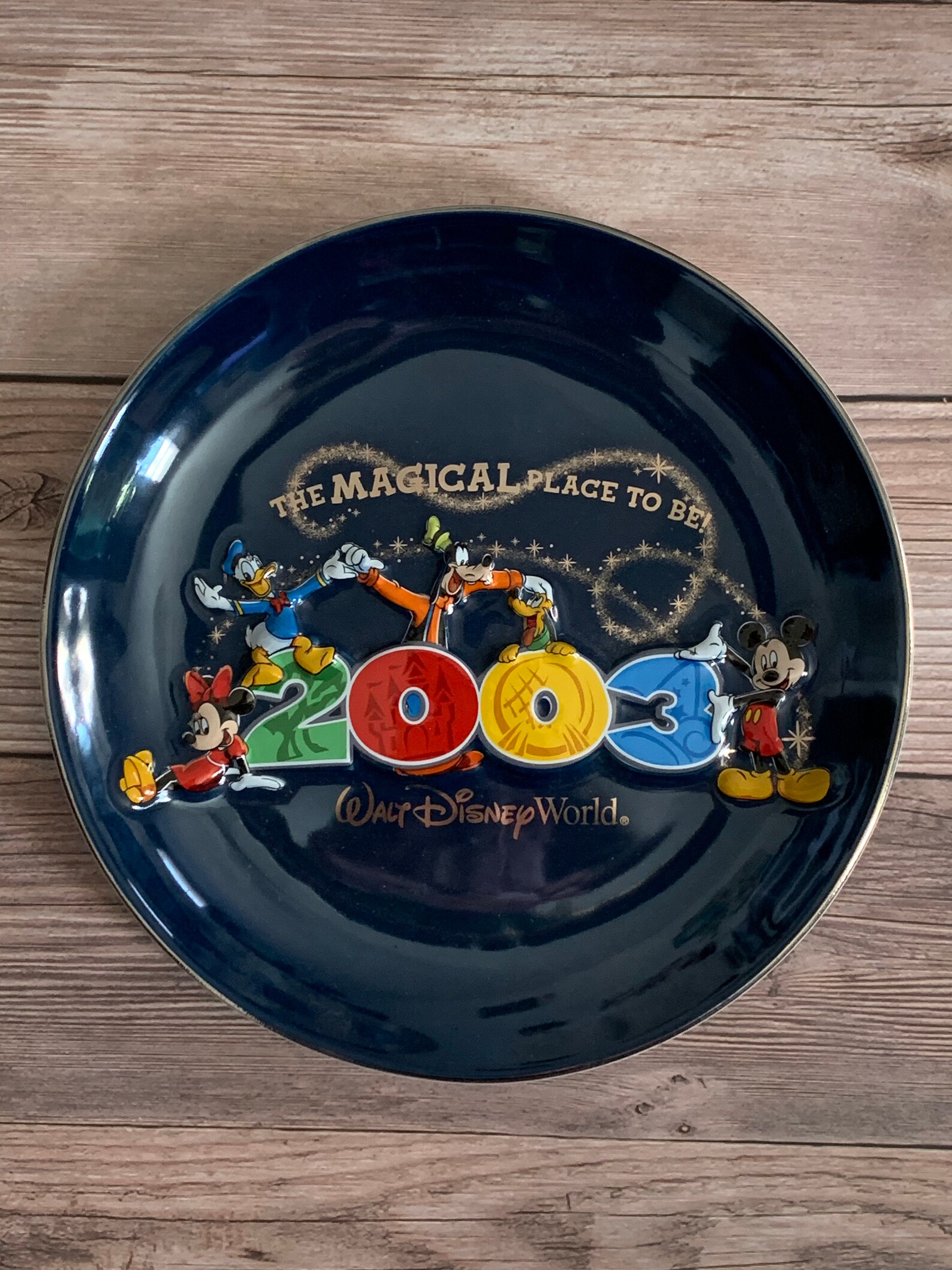 2003 Walt Disney World Collectors Plate The Magical Place to Etsy