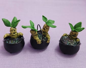 Mandrake cauldrons (MM138)