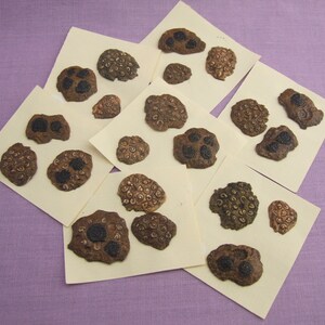 May include: A collection of brown and black fossilized sea urchins on white card stock. The sea urchins are arranged in rows and columns.