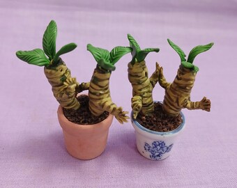 Fighting Mandrakes (MM136)