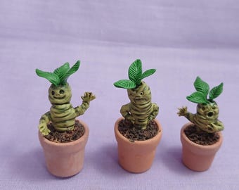 Large mandrake pots (MM137)
