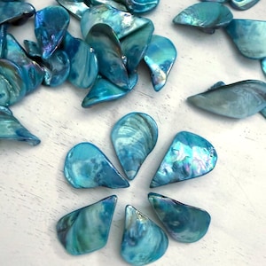 14 Iridescent Teal Mother of Pearl Shell Drop Beads: Jewelry Making Supplies