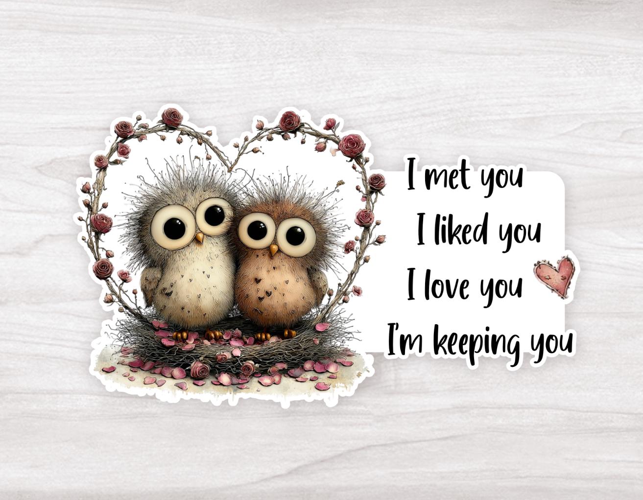 Cute Owl Couple Vinyl Durable Sticker: Valentine Gift, Anniversary, Friendship, Owl Lover