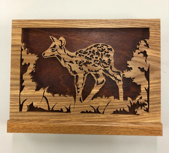 Delicate Doe