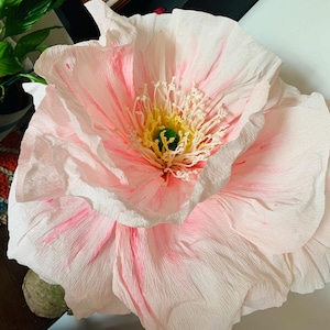 Papavero gigante fai da te in carta crespa del tuo colore. Misura 50 x 50 cm.
