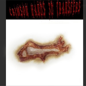 May include: A realistic, brown, 3D transfer of a wound, with a light beige interior and a darker, textured border. The text "CRIMSON HANDS 3D TRANSFERS" is displayed in red, dripping letters above the wound.